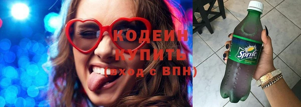 прущий лед Вяземский