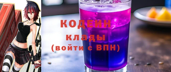прущий лед Вяземский
