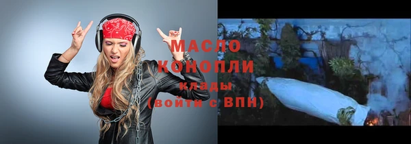 прущий лед Вяземский