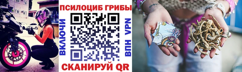 цена наркотик  Заинск  mega ТОР  Псилоцибиновые грибы Psilocybe 