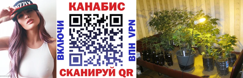 omg ТОР Заинск Конопля планчик закладки